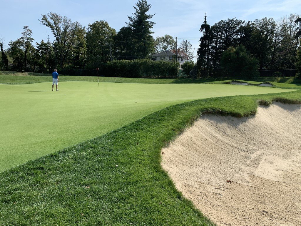 Merion (5).jpg