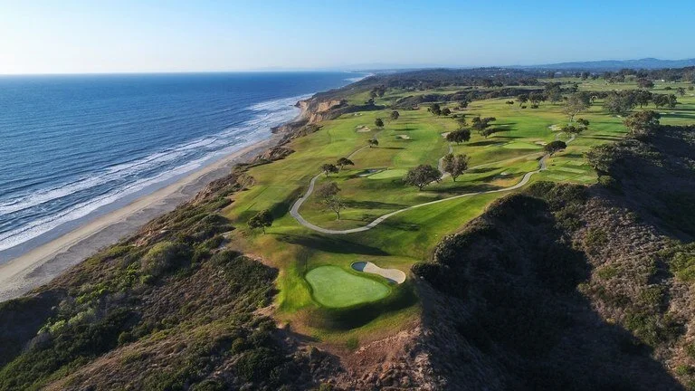 TORREY PINES