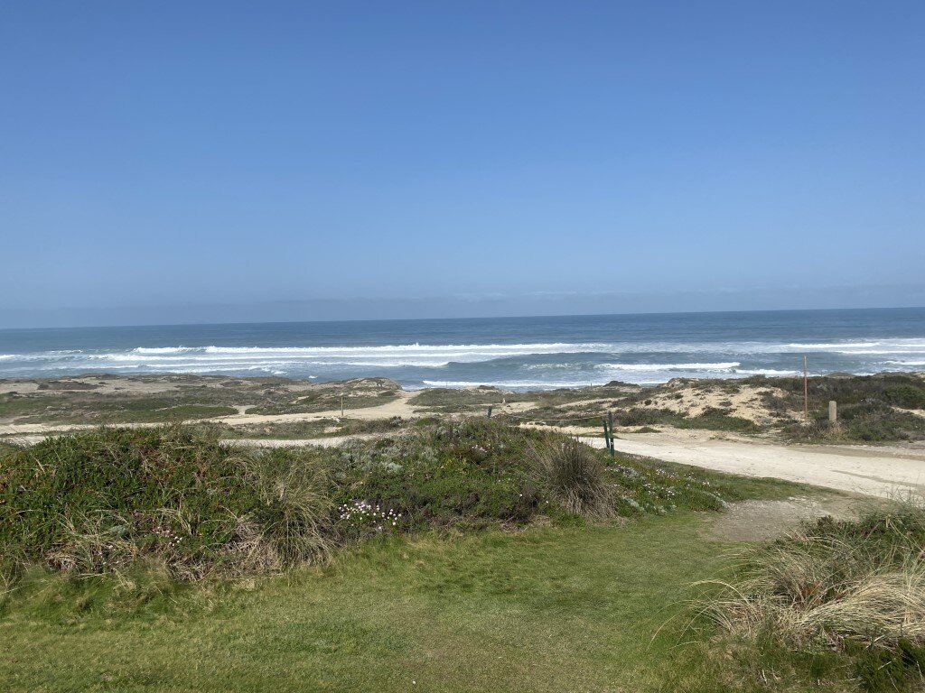 Praia d'el rey golf (21).jpg