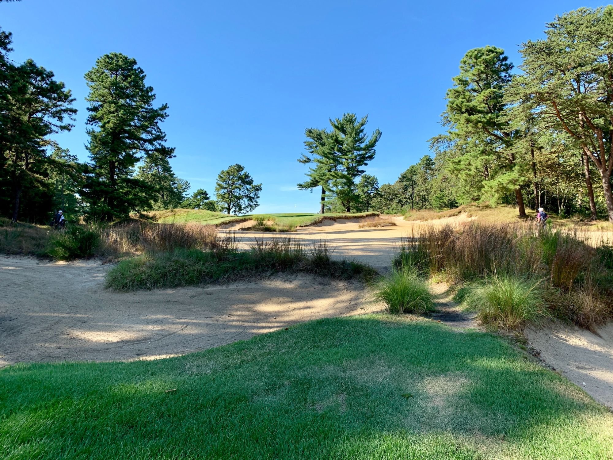 Pine Valley Golf Club Golf Course Review — UK Golf Guy