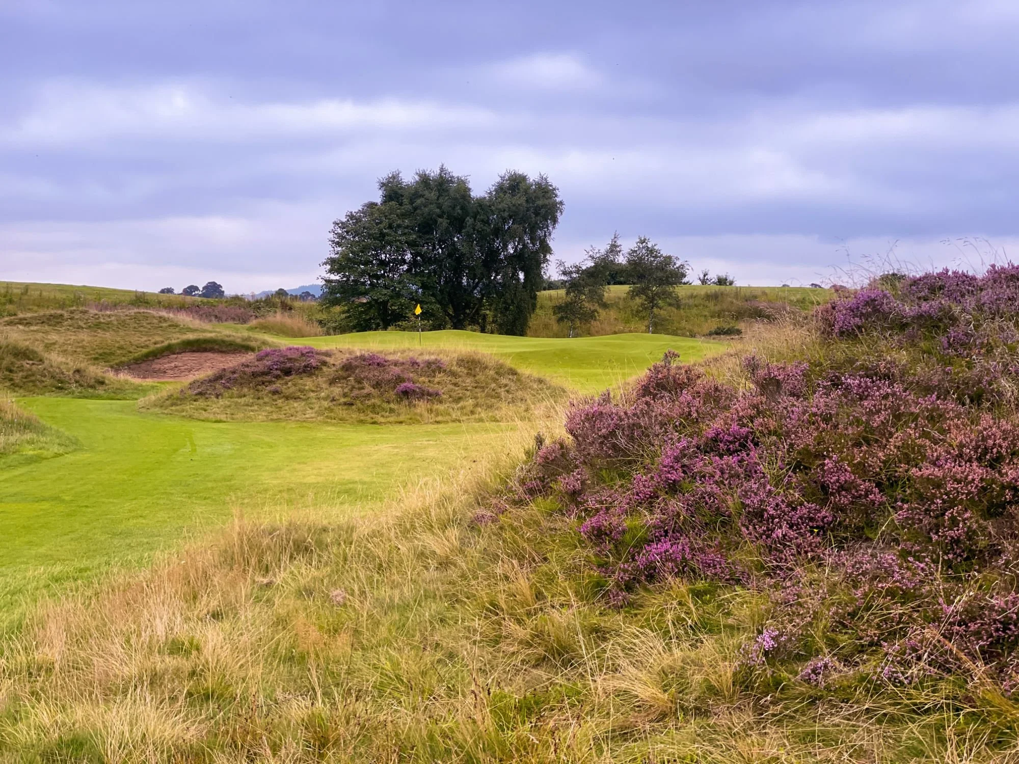 Panmure Golf Club Golf Course Review — UK Golf Guy