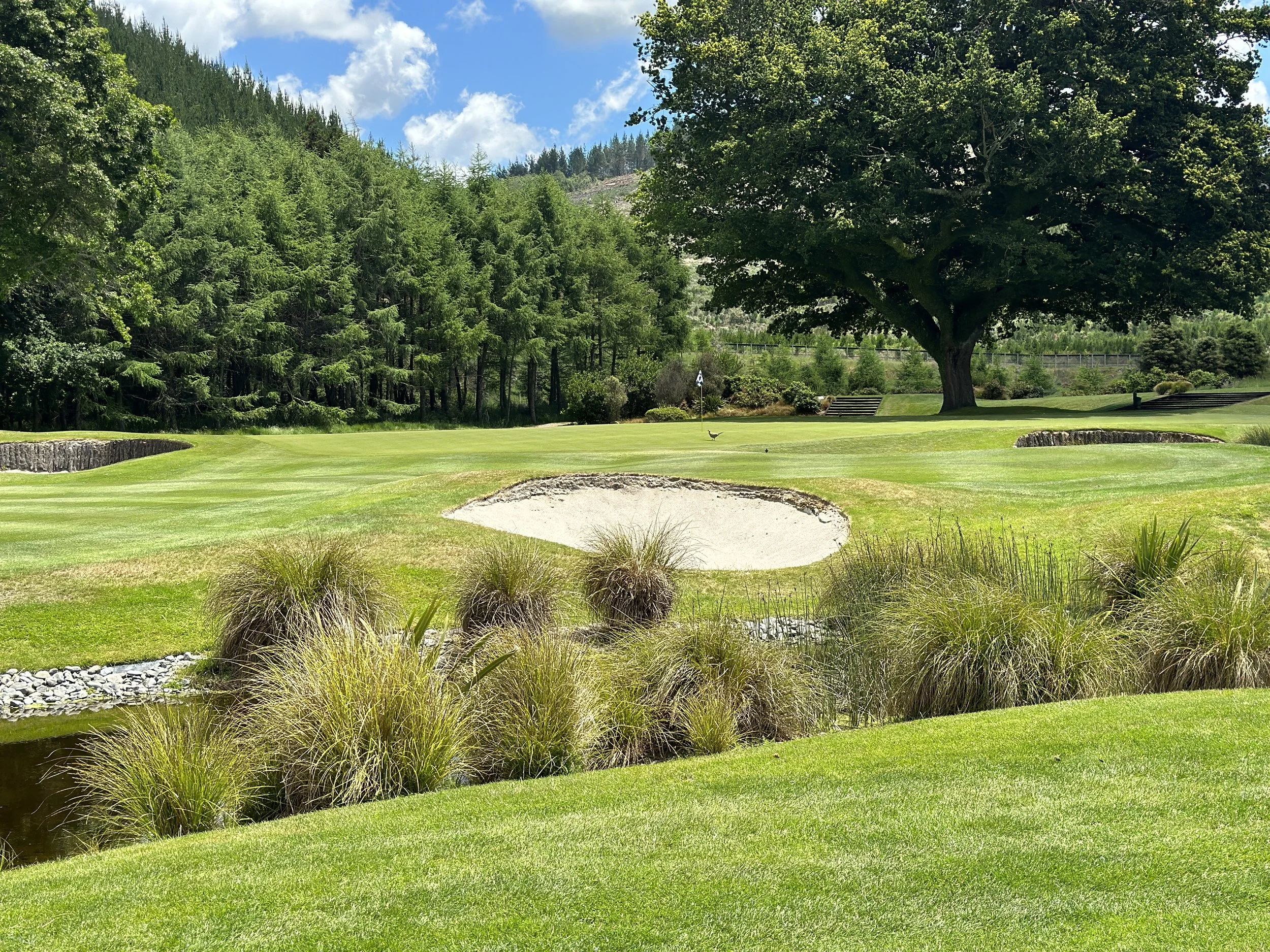 Wairakei Golf and Sanctuary Golf Course Review UK Golf Guy