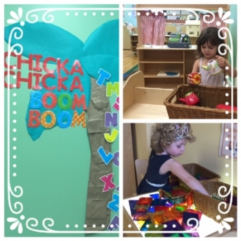  Chicka Chicka Boom Boom, look who's in our room!