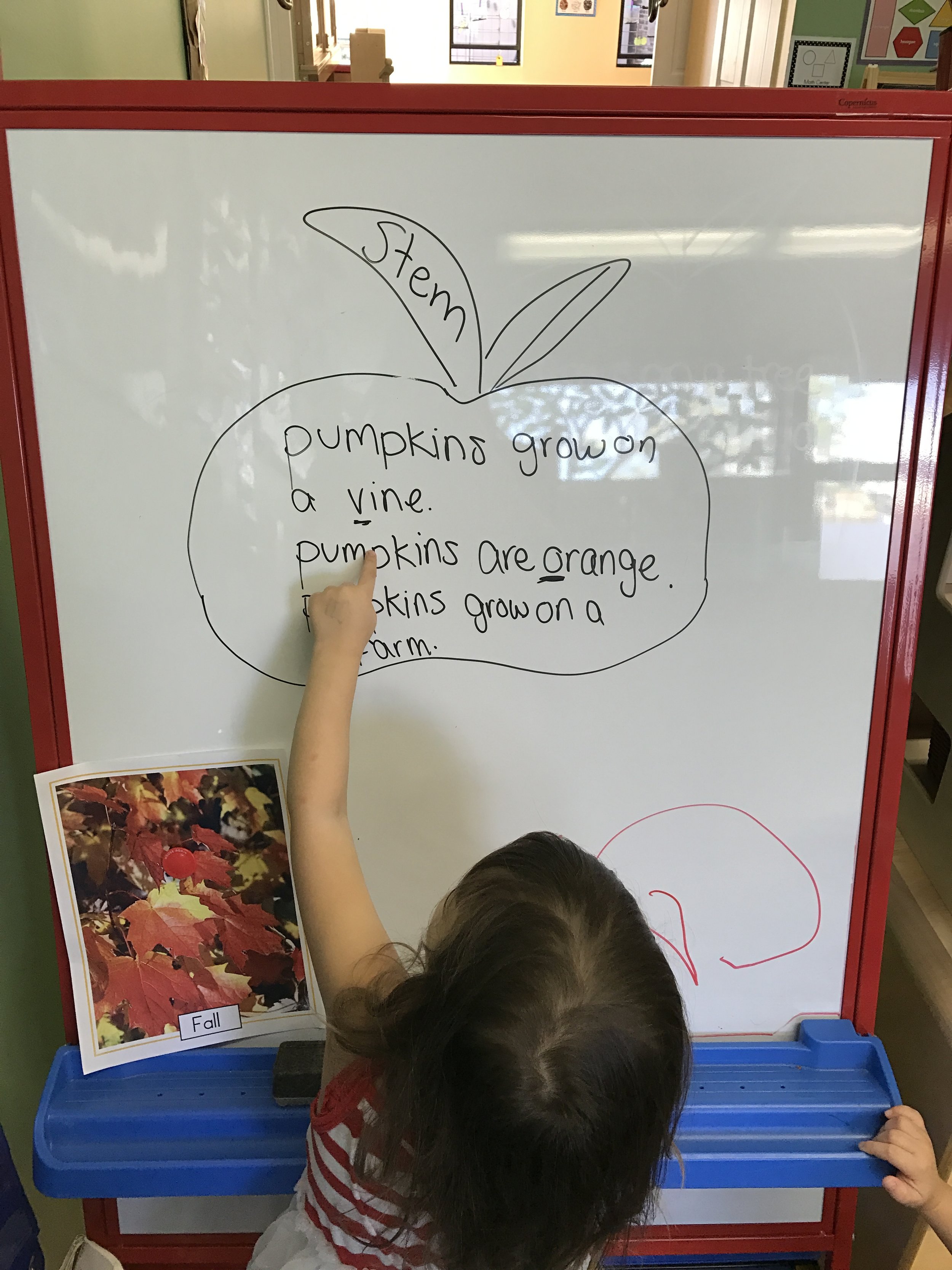 Dissecting our sentences while pointing out letters!