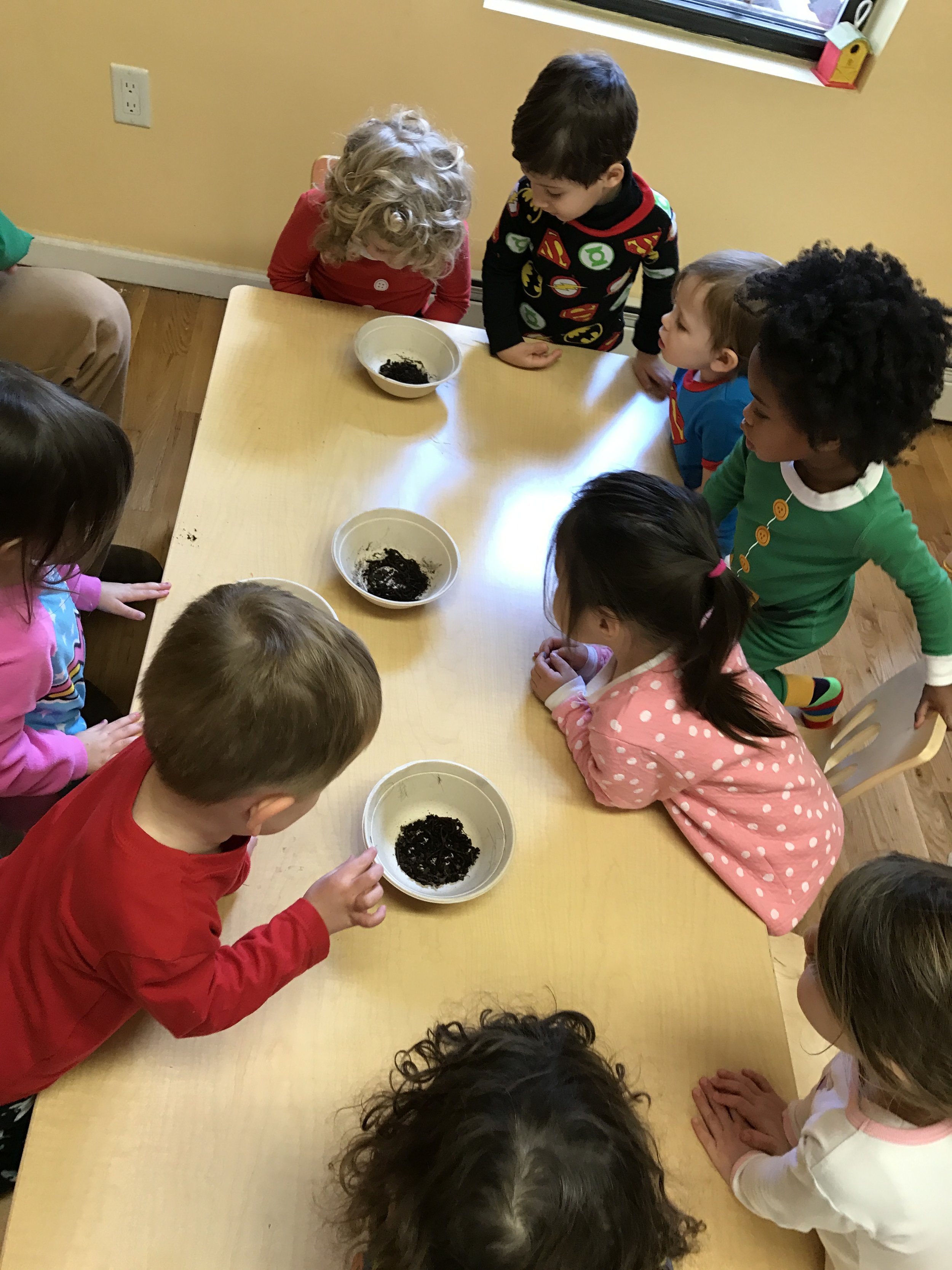  Everyone got to observe and play!
