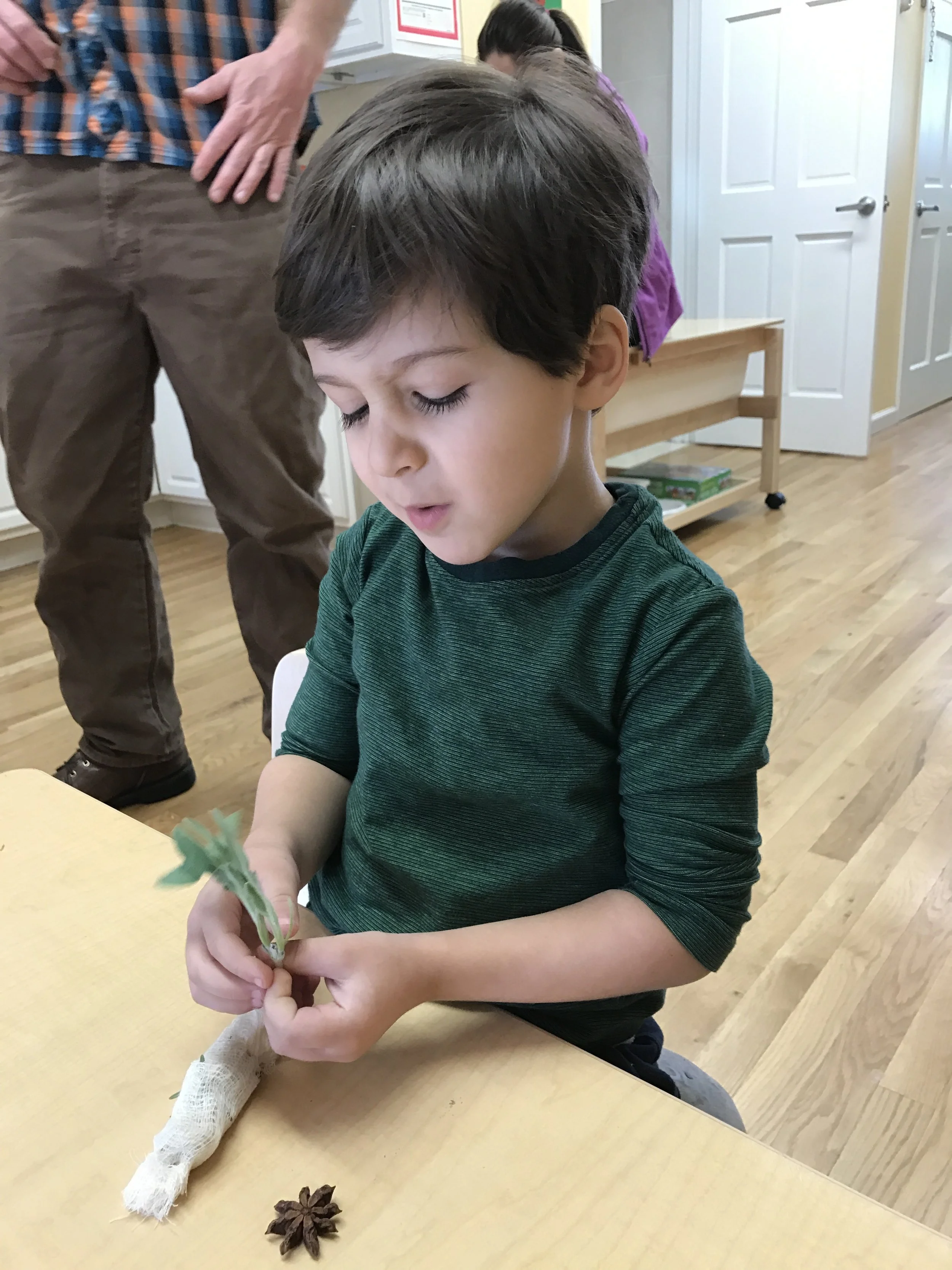  First we put our nose to the test with some smelly plants
