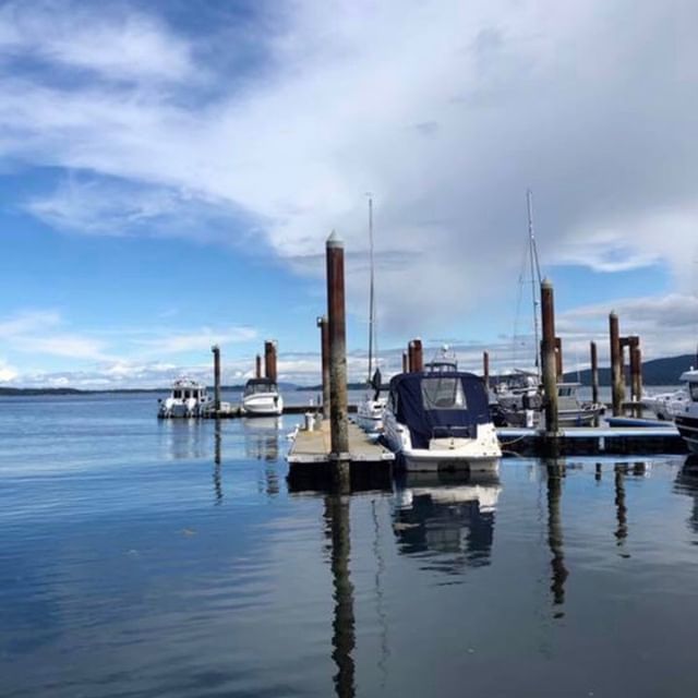 Gallery — Mill Bay Marina