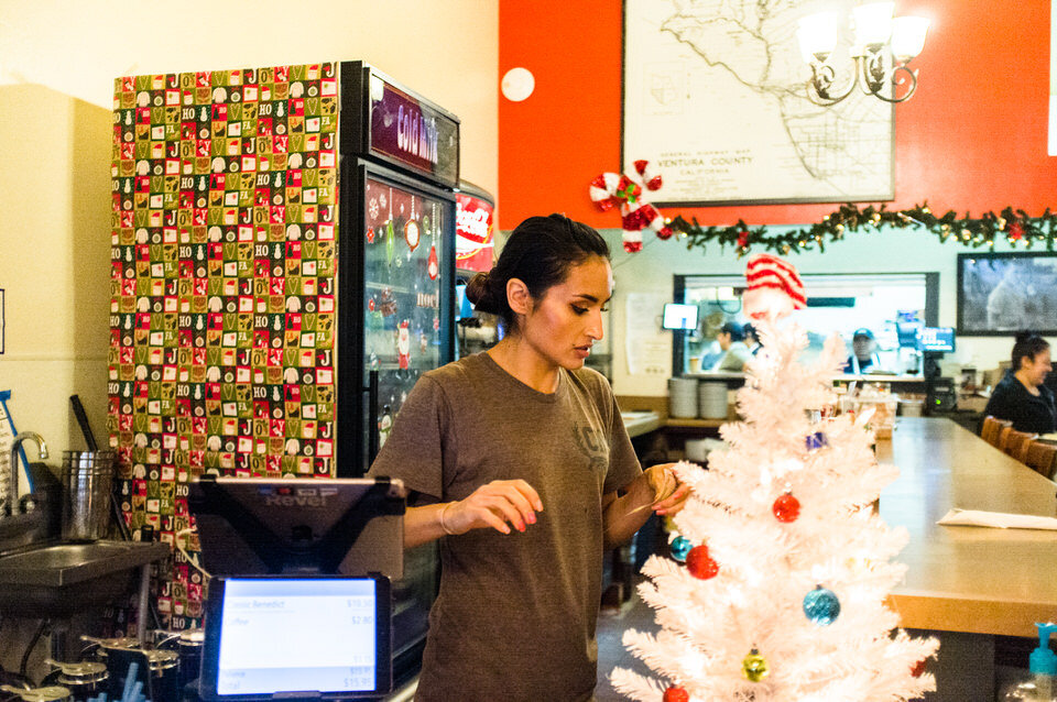 employee looks at tiny Christmas tree