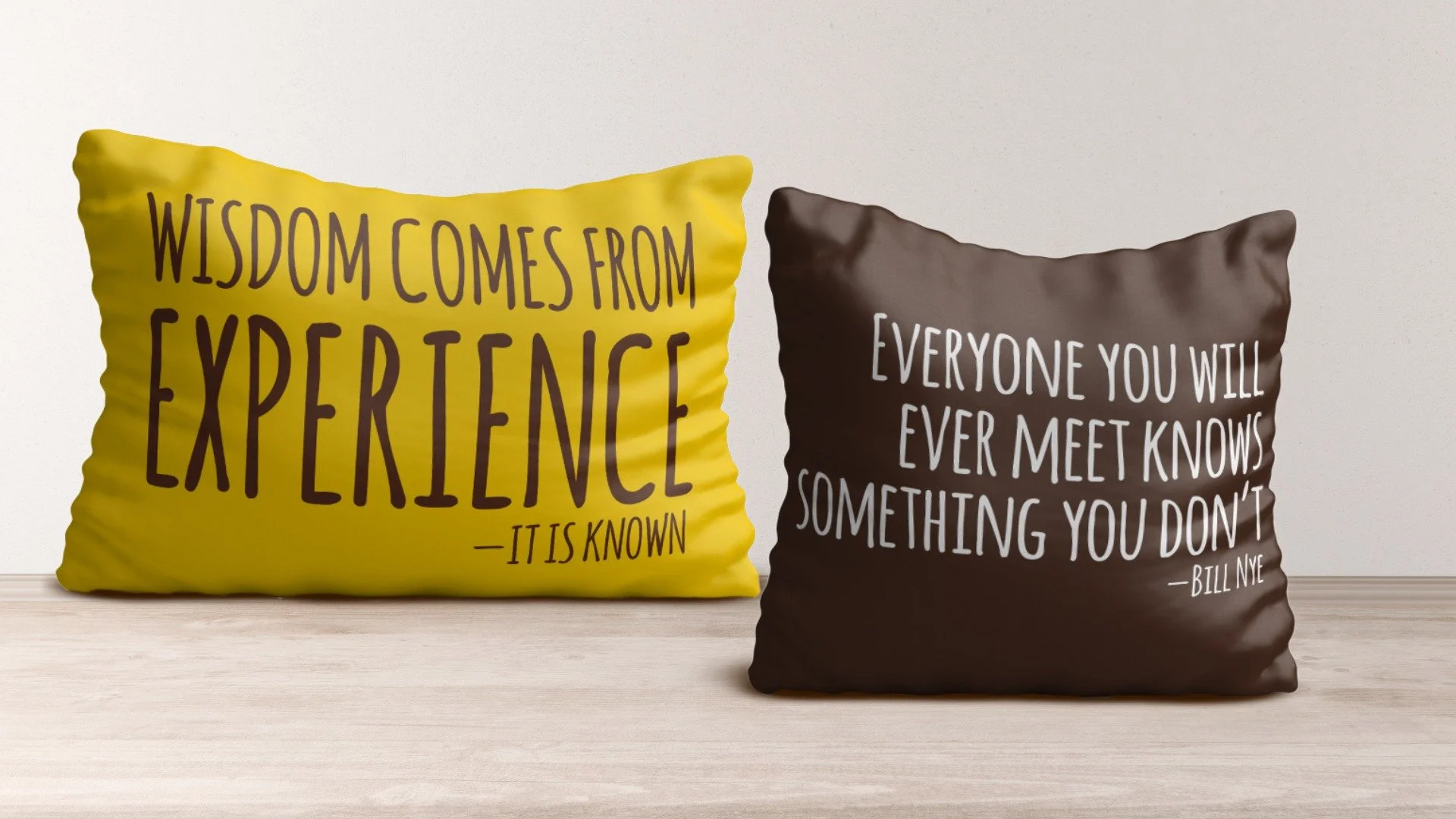 Brain Food Brand Set-Pillows.jpeg
