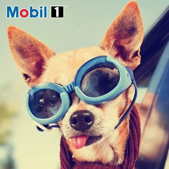 Social Media Image Search