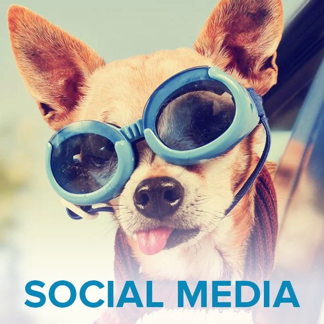 Social Media Image Search, Layout