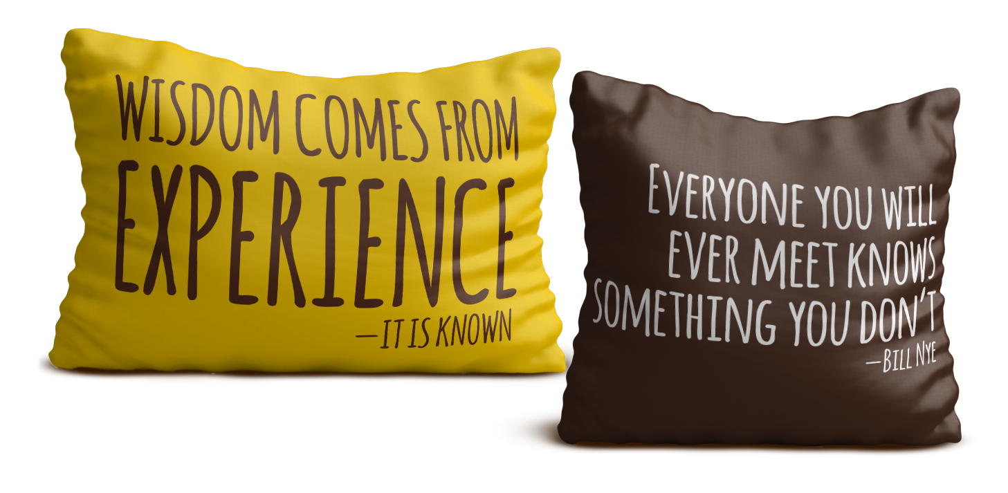 BrainFood_Pillows.png