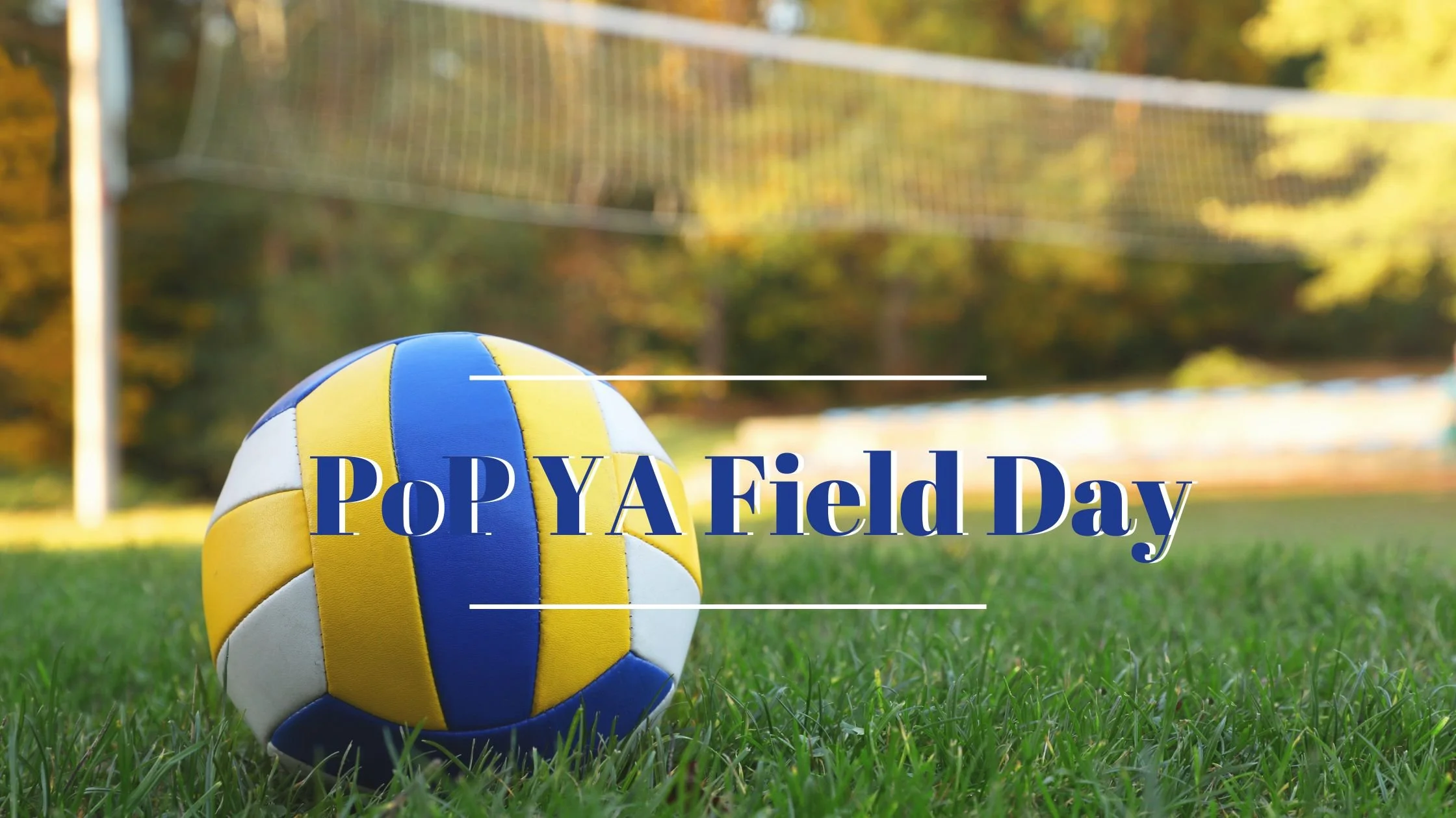 Young Adult Field Day 