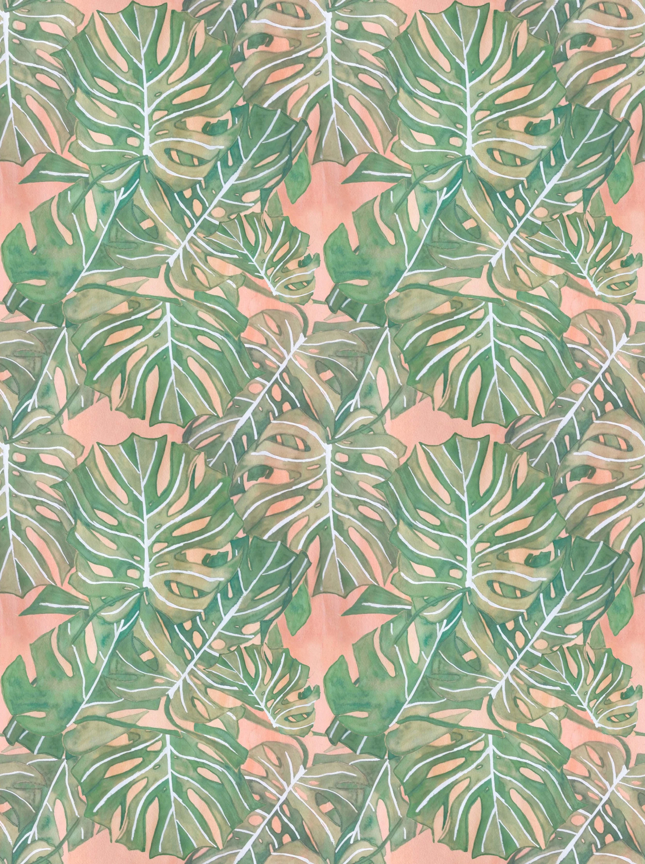 Monstera-Jade