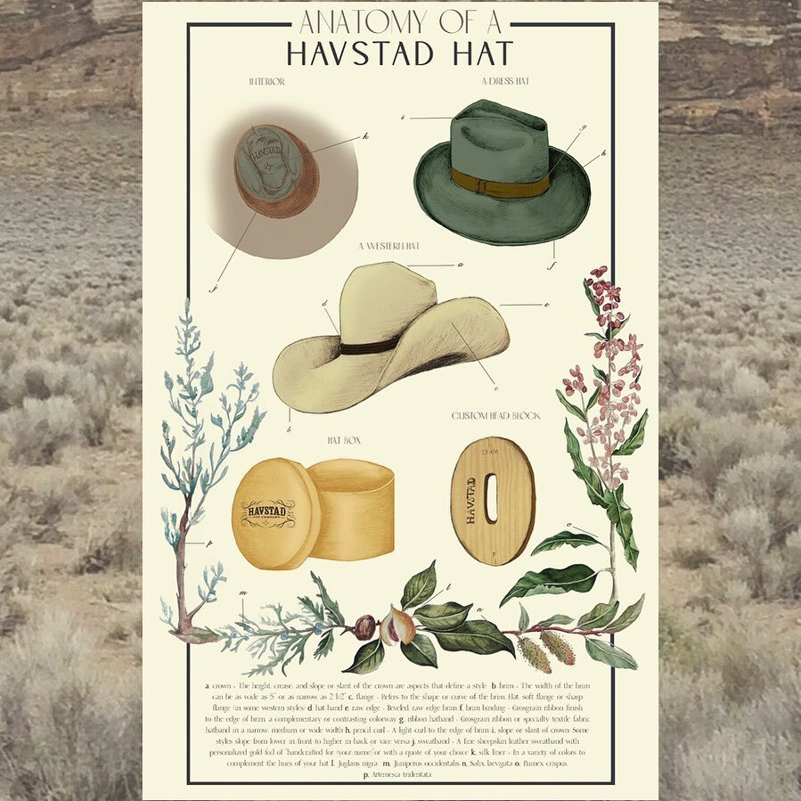 Recently got to work with the incredibly inspiring @havstadhatco on this artwork. I&rsquo;ve long admired her one of a kind, custom, heirloom hats. She&rsquo;s the real deal folks. 
.
.
.
#illustration #millenry #hat #scientificillustration #botanica