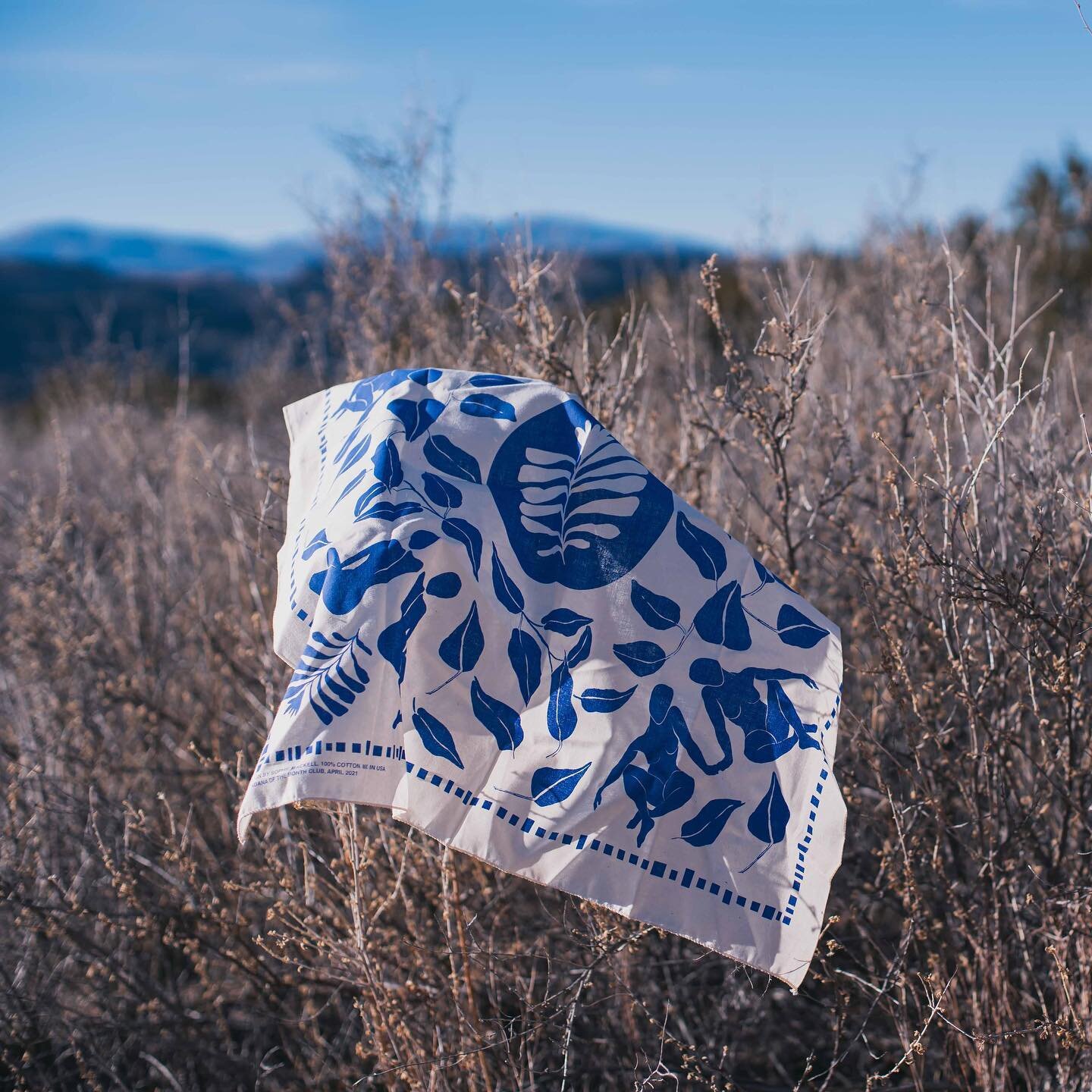 New bandana design for @bandanaofthemonthclub! Inspired by spring and Matisse. 💙💙💙

You can preorder until March 31. Link on @bandanaofthemonthclub &lsquo;s bio. 

Bandanas are 24&rdquo;x24&rdquo; and printed on usa grown and sewn organic cotton.
