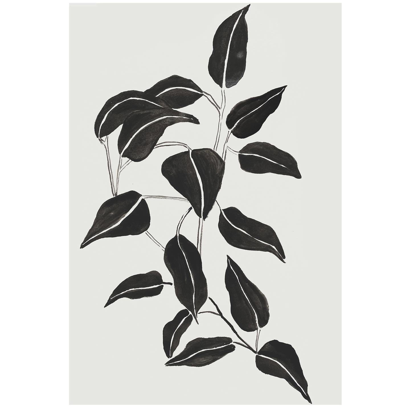 🖤🤍 
.
.
.
#watercolor #watercolorpainting #botanicalart #botanical #BW #bwmood