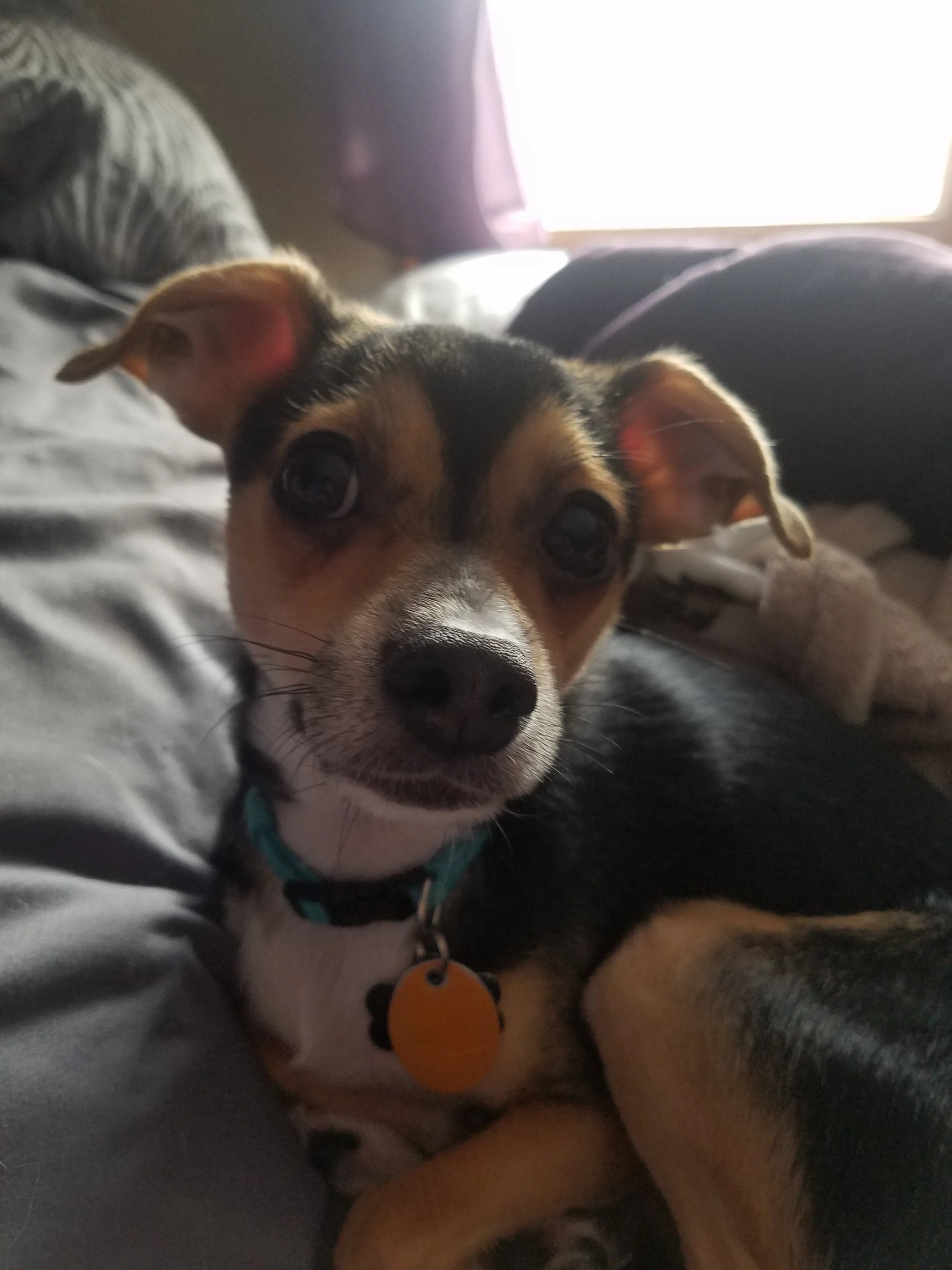 Cooper Bean 2.jpg