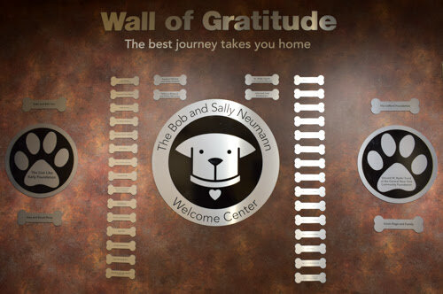 Wall of gratitude.jpg