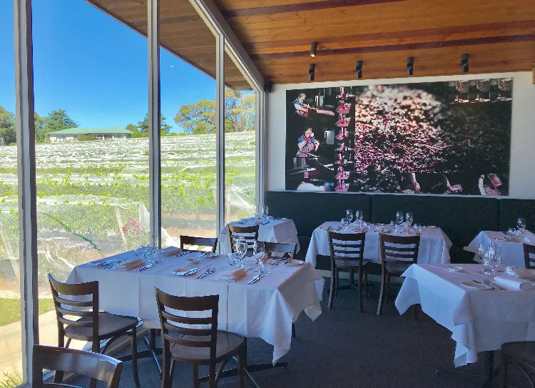 The Dining room at Paringa Winery where You can sample their award-winning wines.