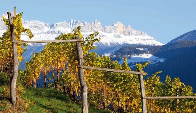 Photo courtesy of Wine And Travel Italy