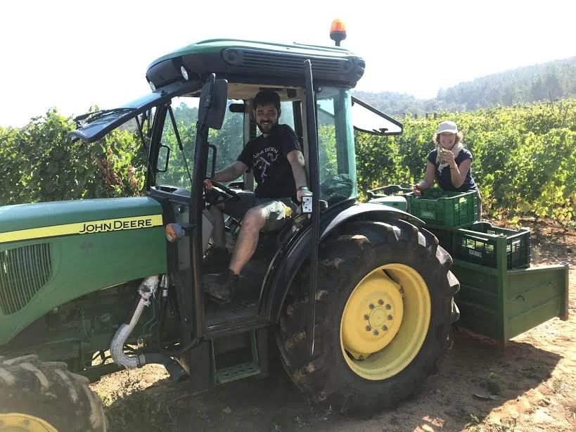 April at the back of the tractor, checking on her grapes. Ivan, the viticulturist, is at the wheel.