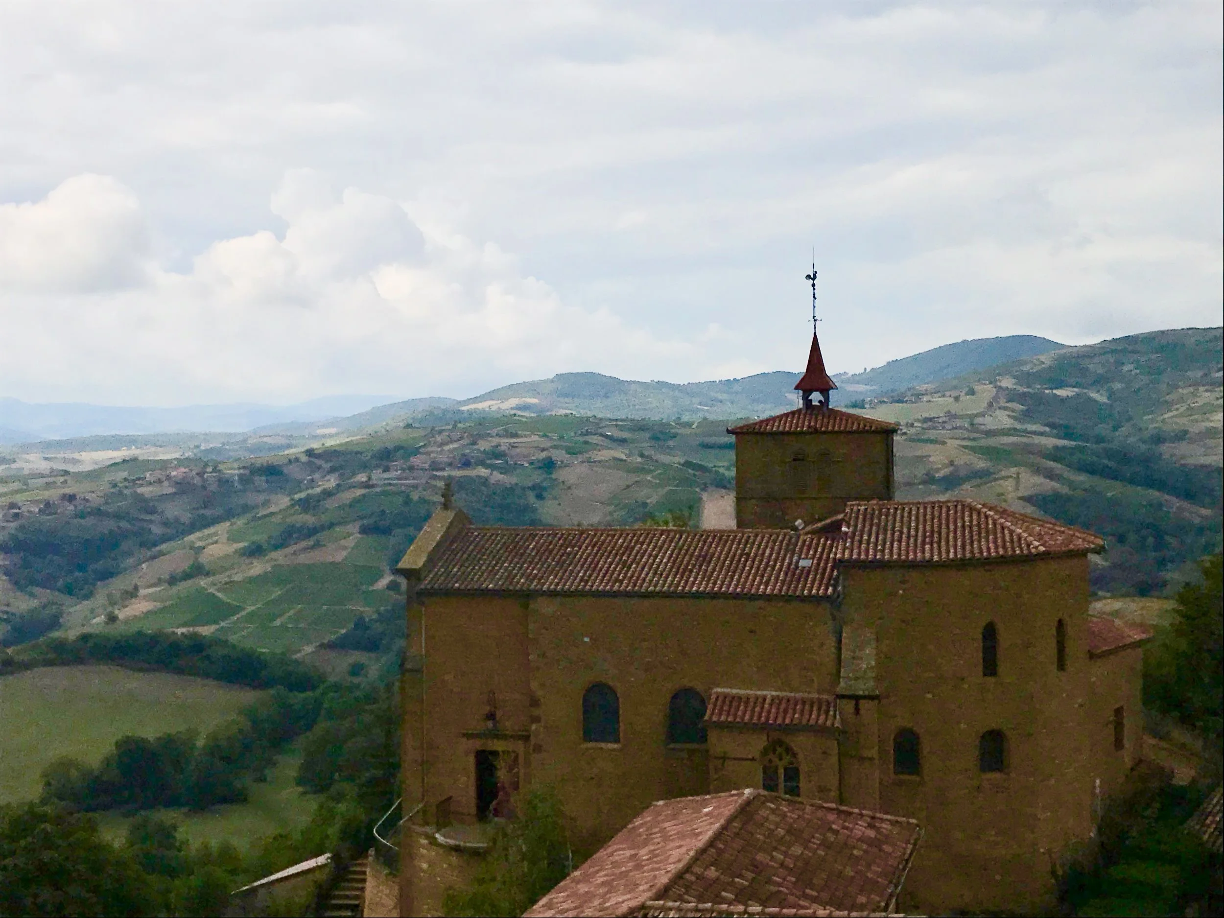 Beautiful Beaujolais, home of the Gamay grape.