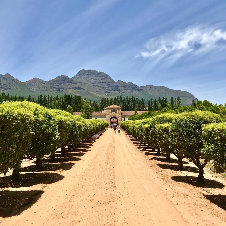 The entrance to Waterford Estate is full of charm. A dusty road, lined with lavender bushes and citrus trees, leads up to an inviting Mediterranean-style villa.