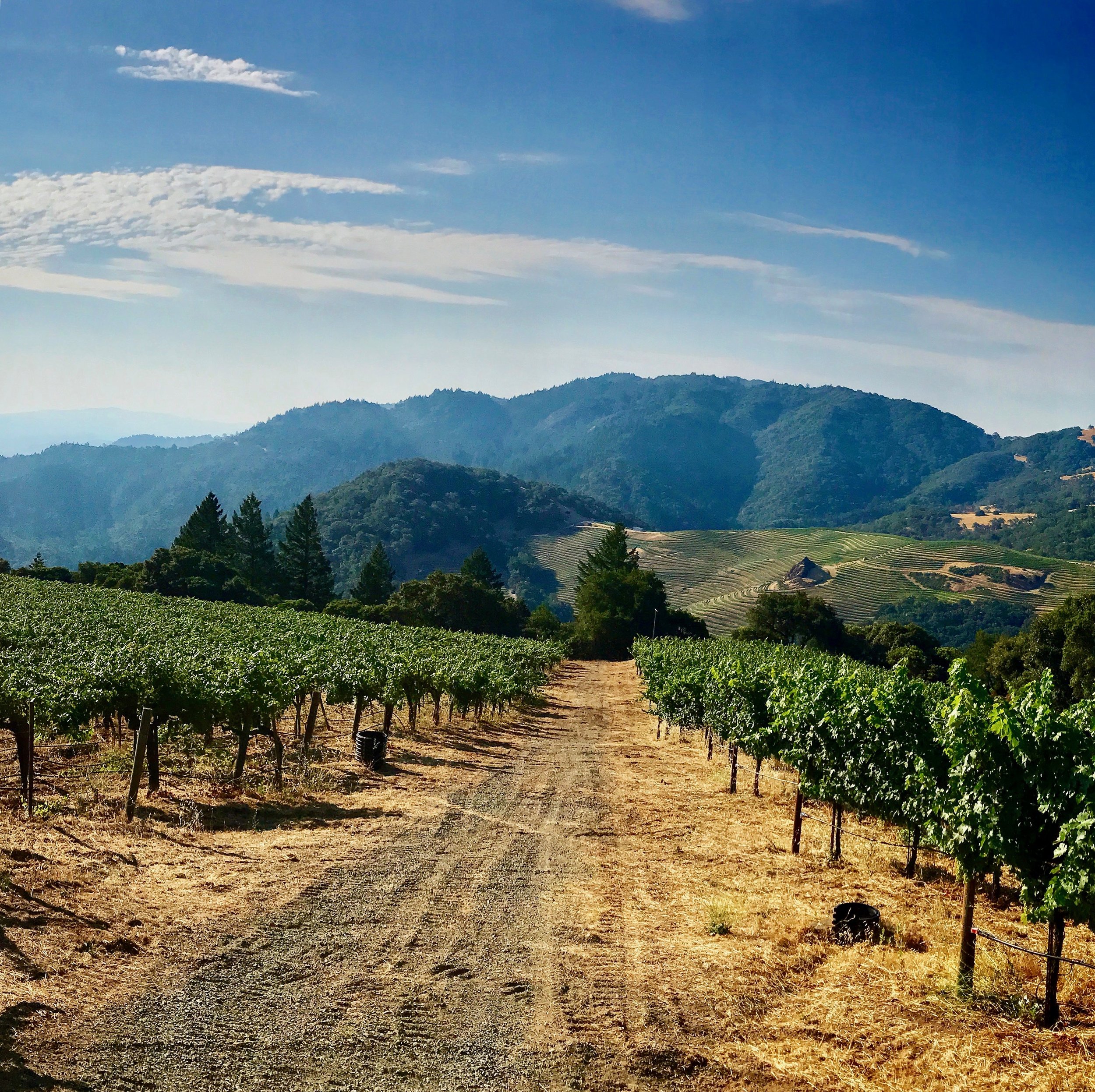 Know Before You Go - Ten Fascinating Facts About Napa Valley — The Wine Chef