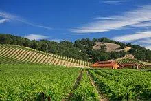 Meet Your Next Wine Travel Destination: Paso Robles