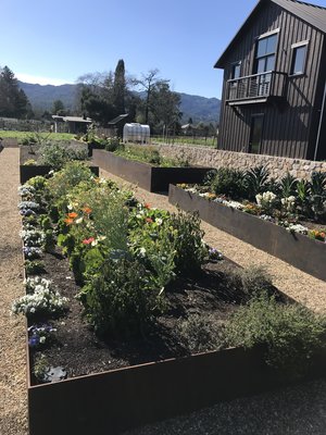 Vegetable and flower gardens