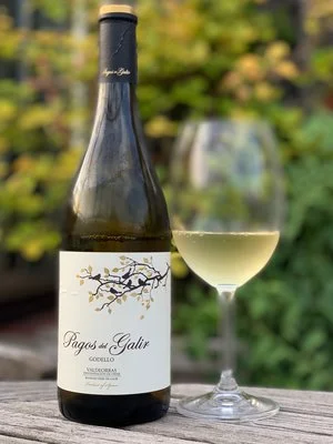 Thursday's Thrill: Pagos del Galir Godello from Galicia