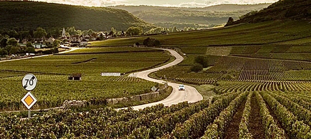 Finding Burgundy's Hidden Wine Treasures