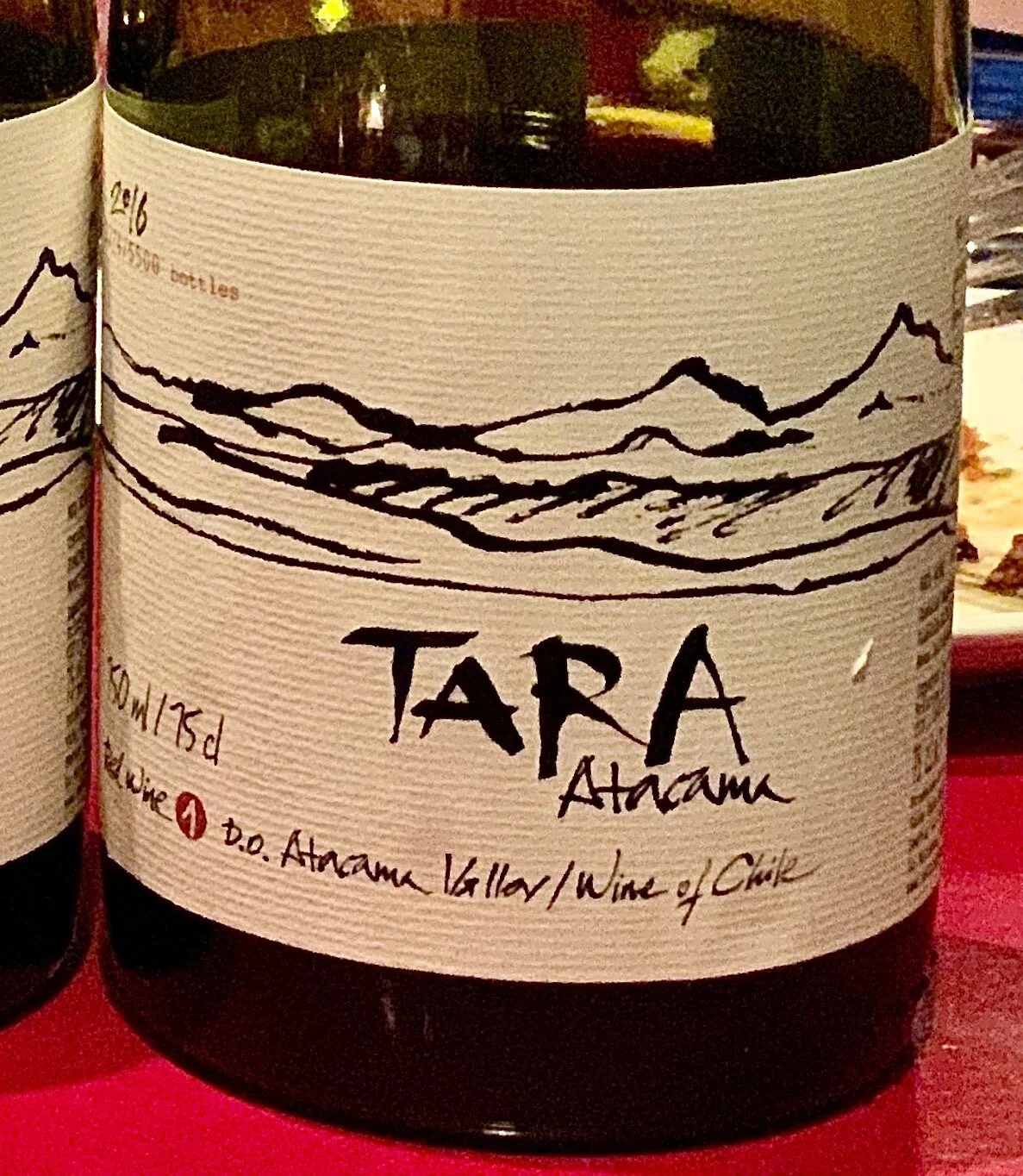 Spotlight on The Top Pinot Noirs of Chile's Ventisquero Winery