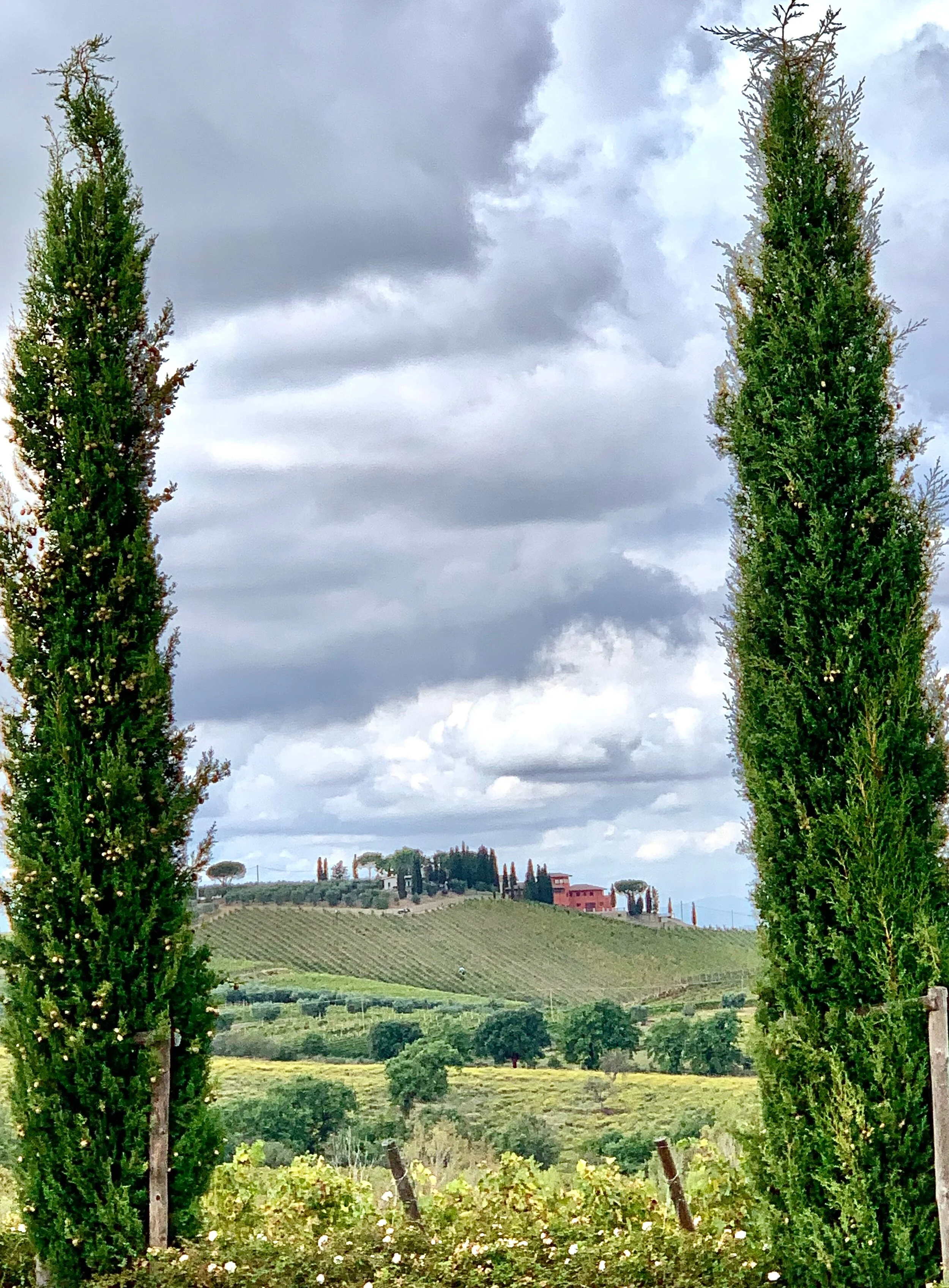 Let’s Talk Super Tuscans