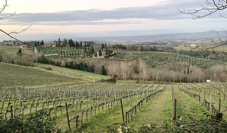 A Tuscan Wine Treasure. Surprisingly, It’s Not Red