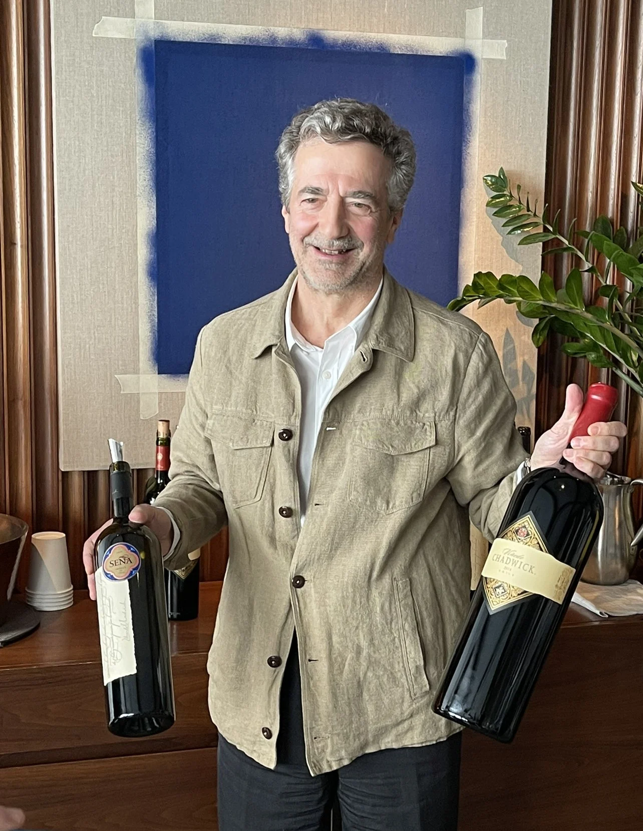 Seeing the Potential of Chile's Fine Wines Through Viña Sena and Viñedos Chadwick