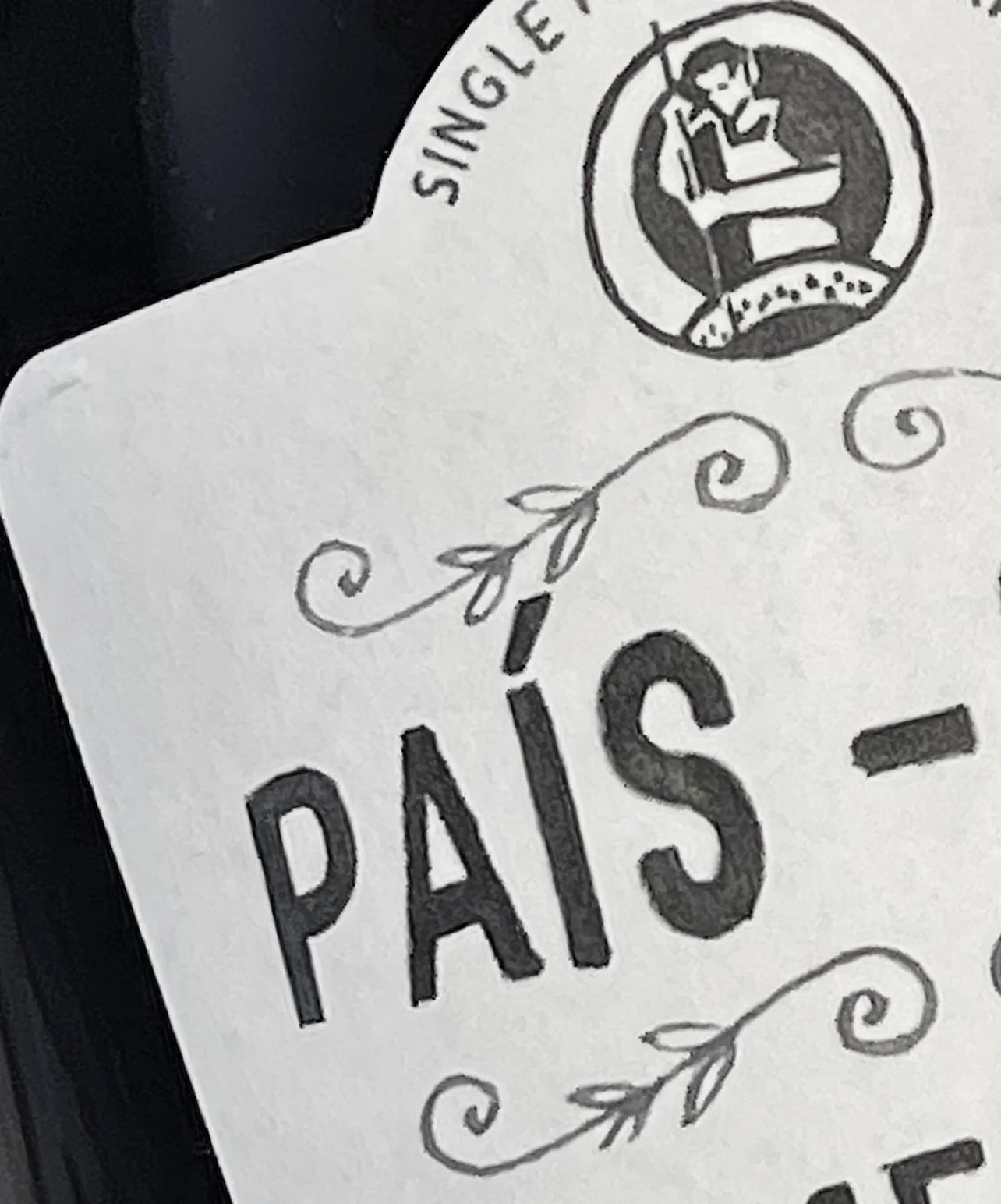 País Is Back: 5 Things to Know and 6 Wines to Try