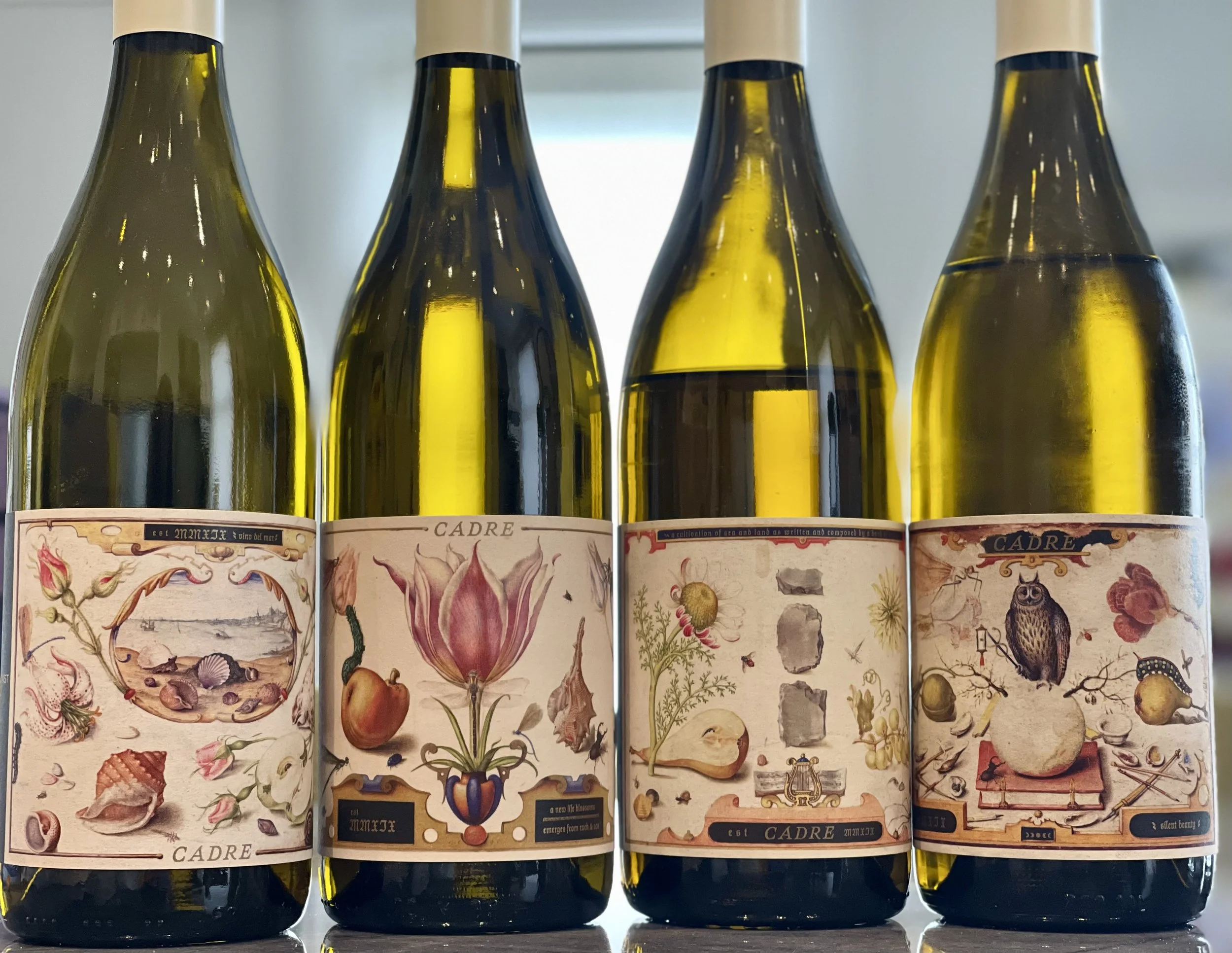 On the Edge: Discovering California’s SLO Coast Through Cadre Wines