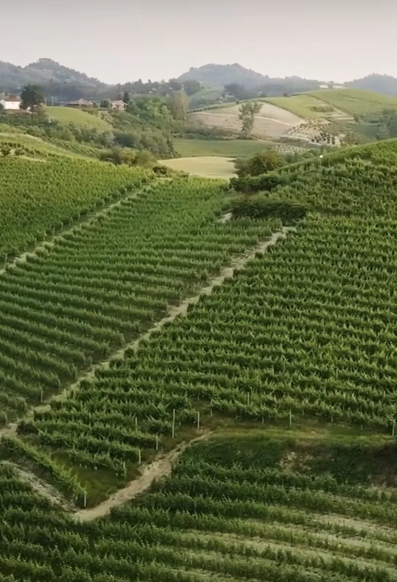 Roero: The Sandy Side of Piedmont