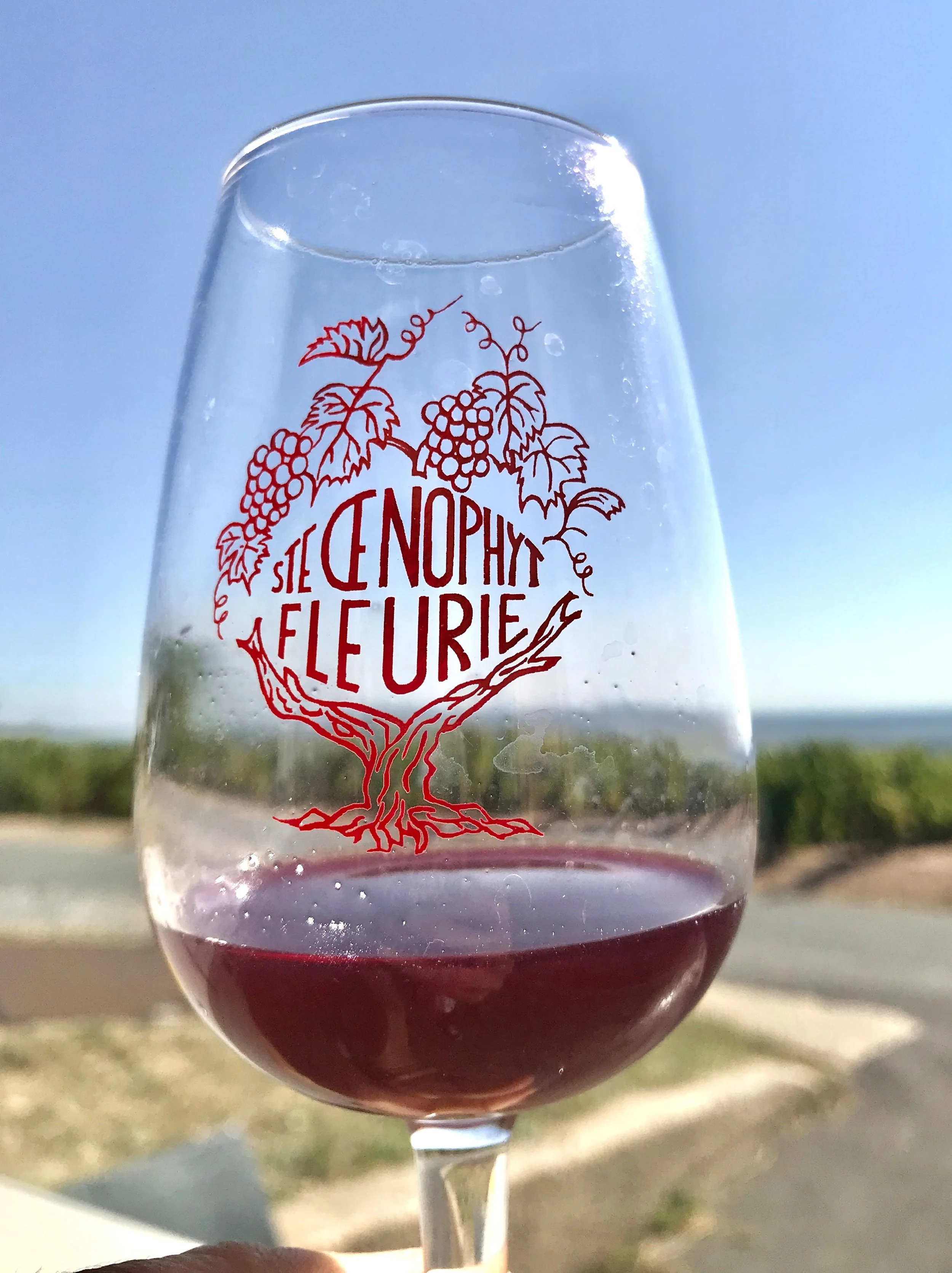 Beaujolais Wine: From Everyday Favorites to Age-Worthy Crus