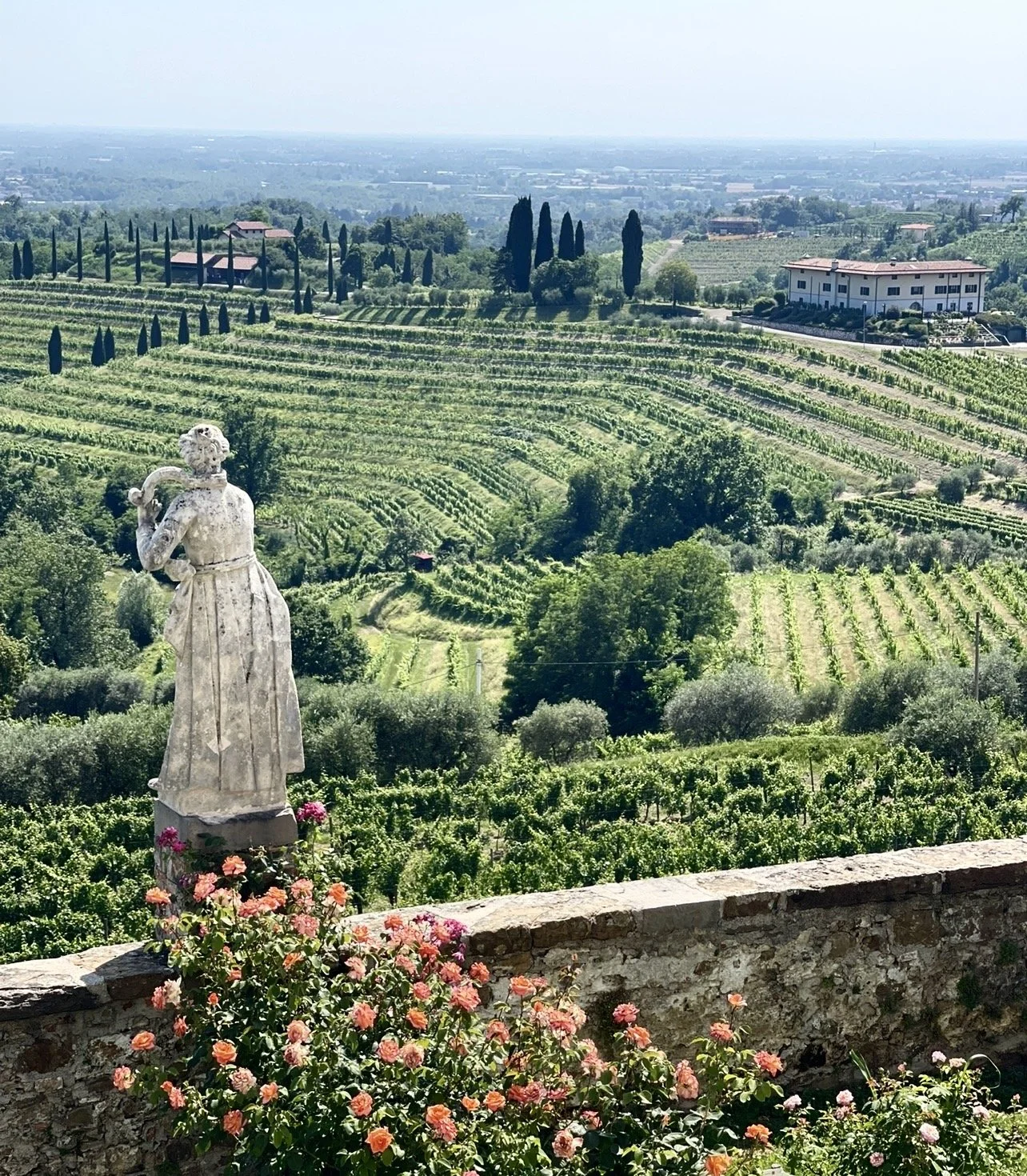 A Thousand Years in the Making: The Story of Livio Felluga and the Abbey of Rosazzo