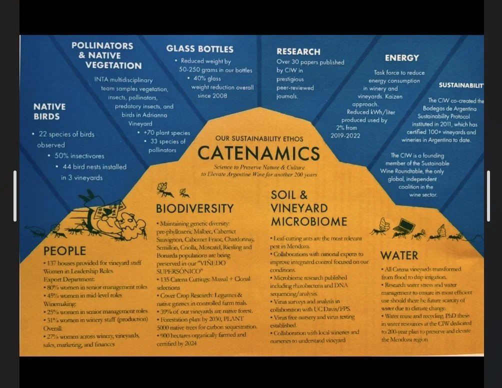 At Catena, Science Is Helping Shape the Future of Argentine Wine
