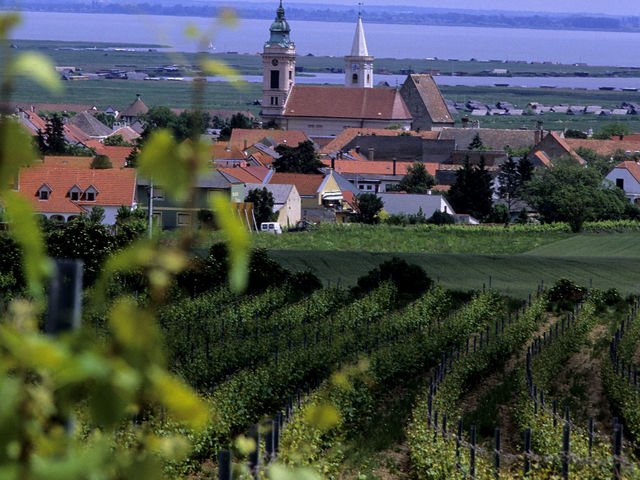 The Amazing Wines of Burgenland, Austria — The Wine Chef