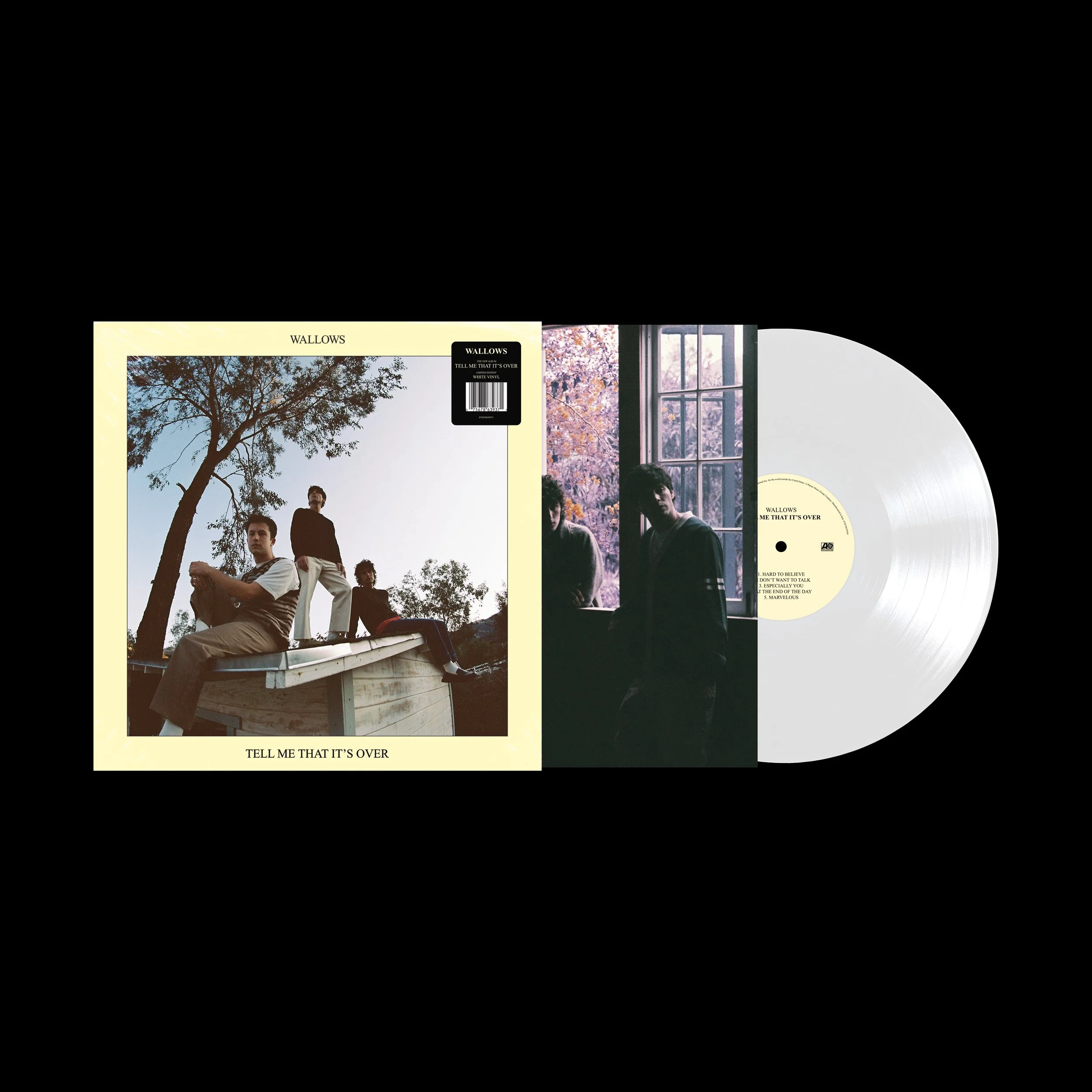 WALLOWS_TMTIO_FRONT VINYL AND LABEL copy.jpg