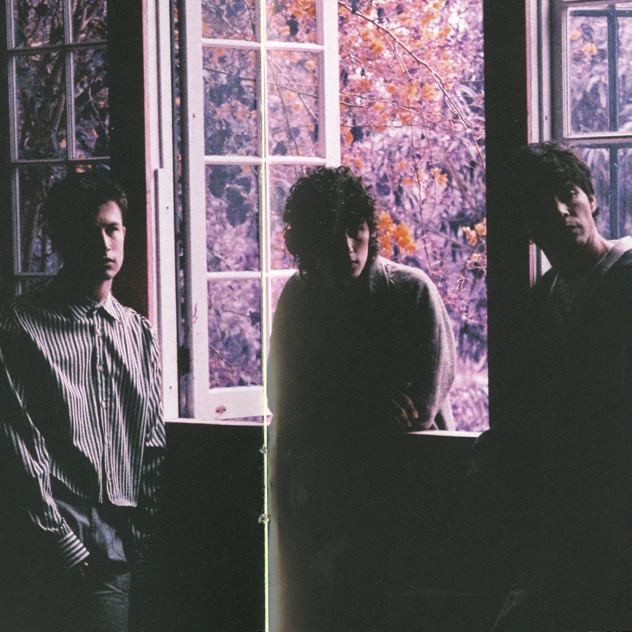WALLOWS_TMTIO_BOOKLET SPREAD.jpg