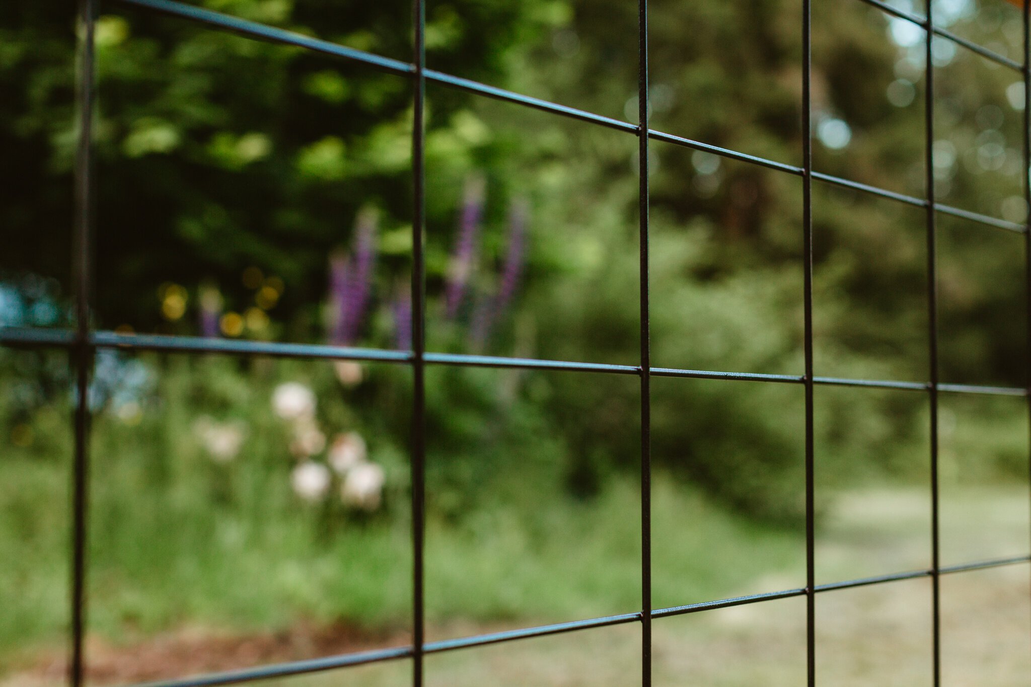 Black Steel Mesh