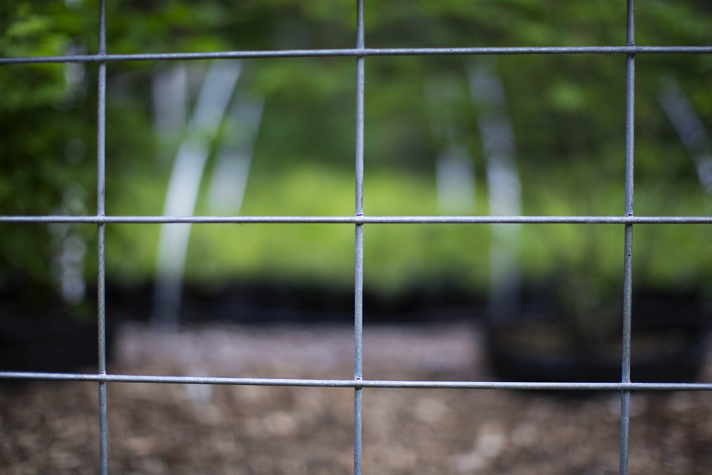 Natural Steel Mesh