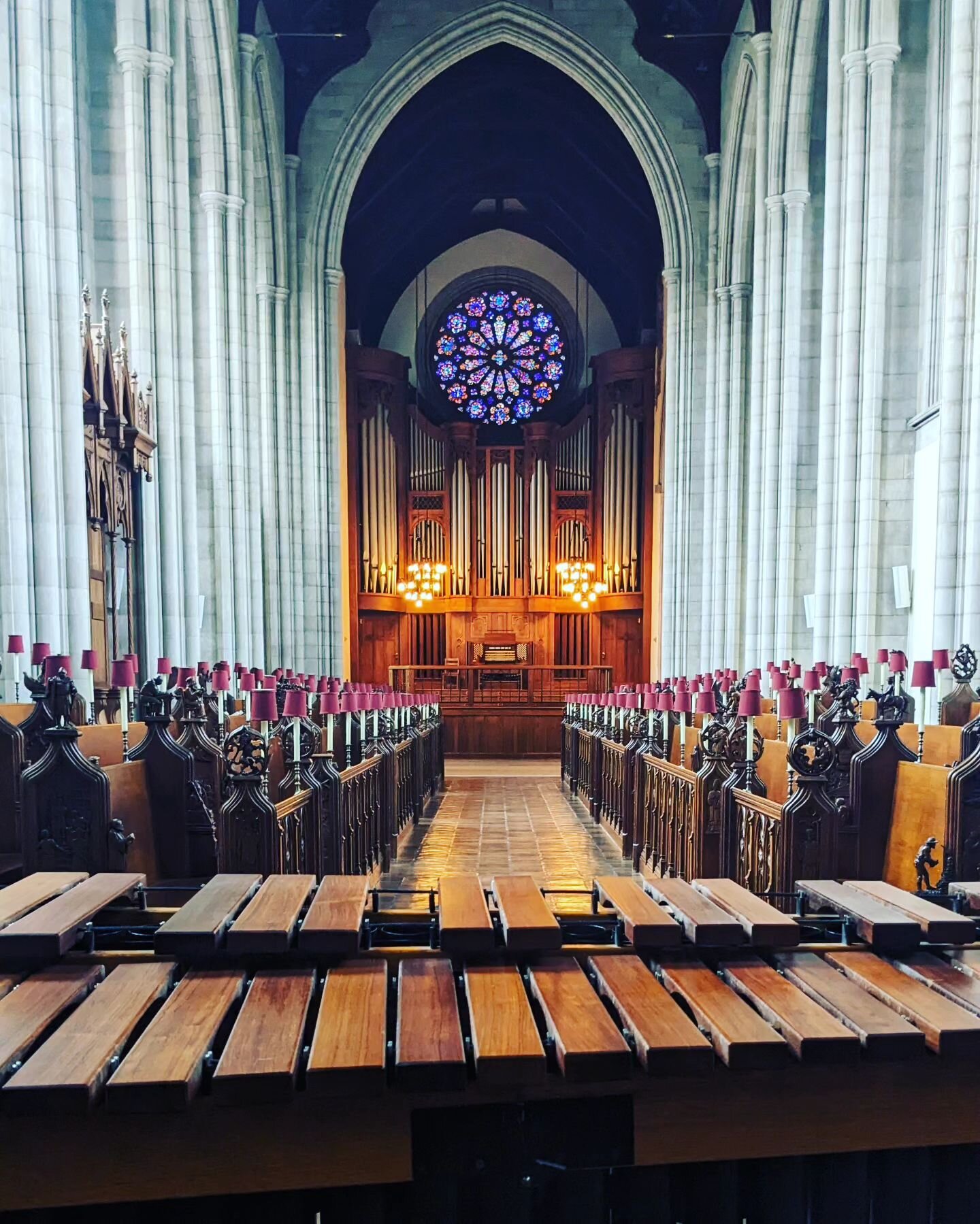 I love performing marimba in Churches. I'd play a marimba recital in a church series any day💜💜💜
.
.
.
.
.
#marimba #vibraphone, #Percussionist #marimbaplayer #recital #classical #classicalrecital #solorecital #trinitycollege @pearladamspercussion 