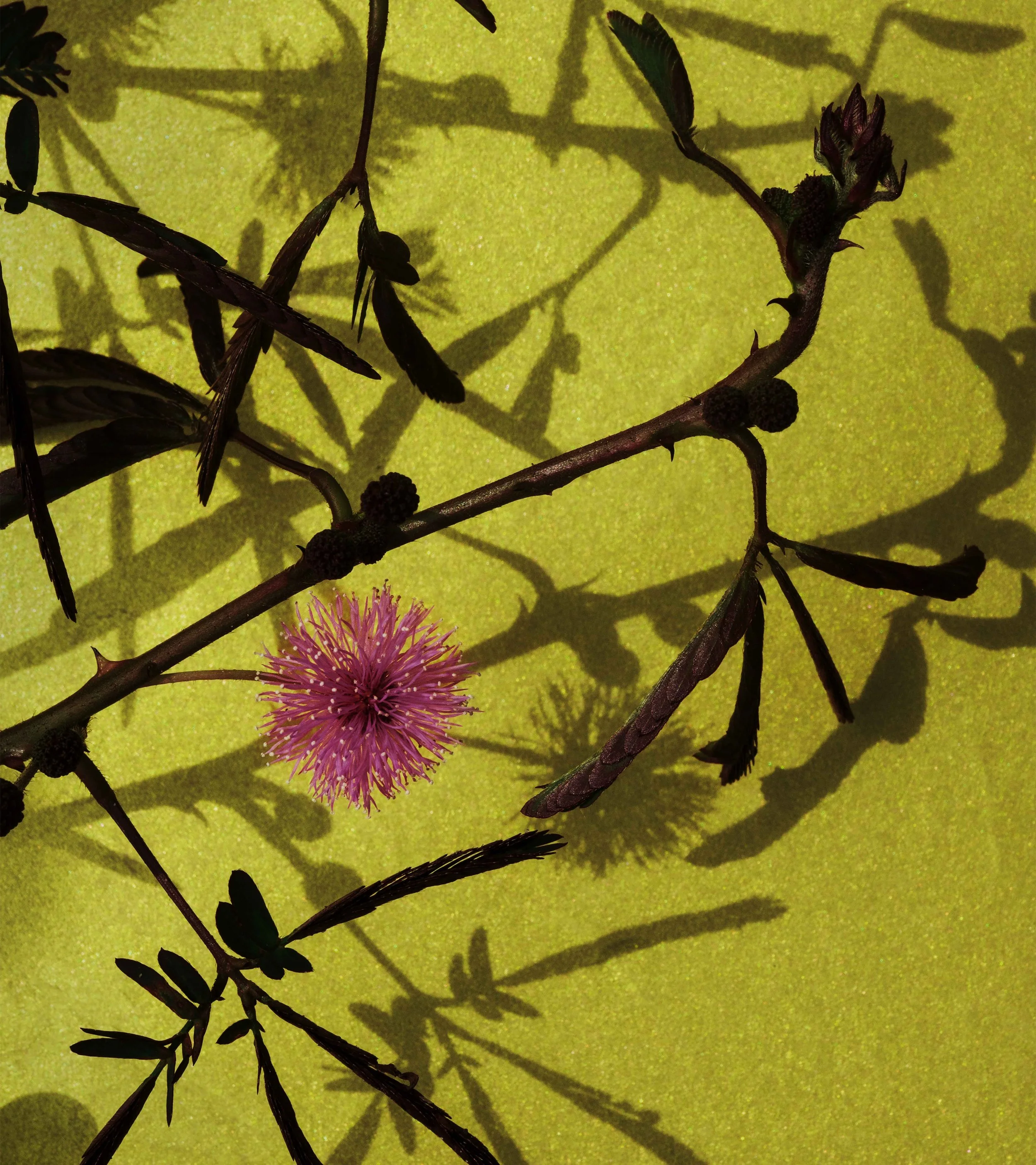 R3_07770_WEB.jpg